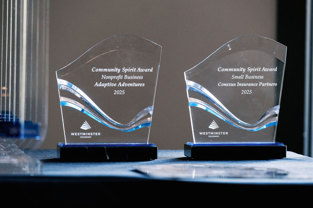 Community Spirit awards sitting on a table